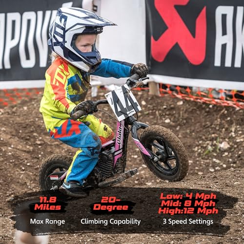 Electric Dirt Bike for Kids Aged 3-6, 170W Motor, 24V Battery, 12IN Tires M30914