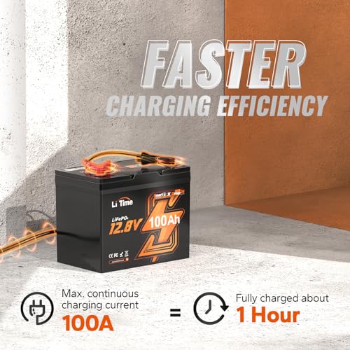 12V 100Ah LiFePO4 Battery Group 31 with Built-in 100A BMS N133