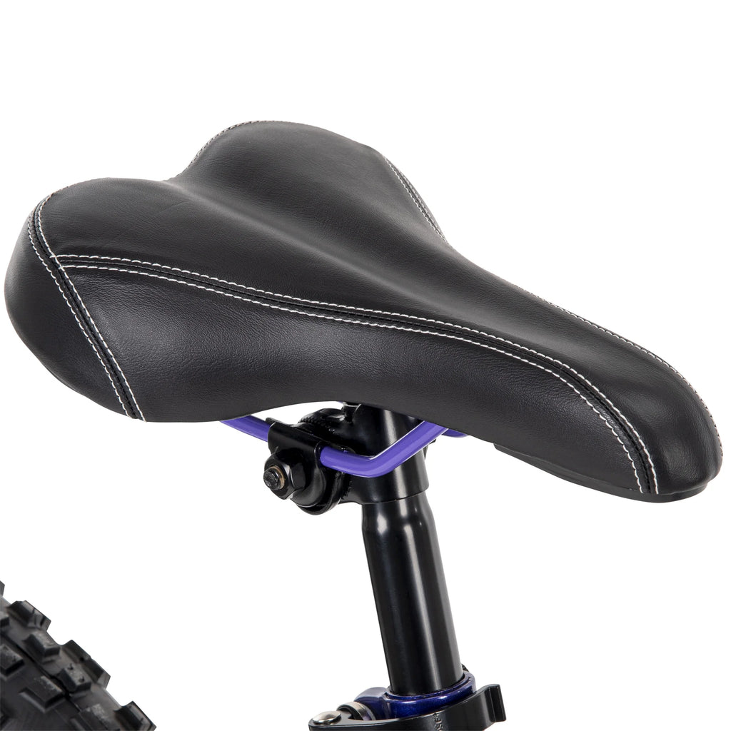 Girls' 24-inch Mountain Bike, 18-speed, Purple Q121