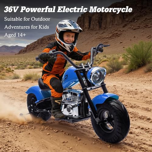 Electric Dirt Bike for Kids 14+, 360W Motor, 15.5 MPH, Gray D8115