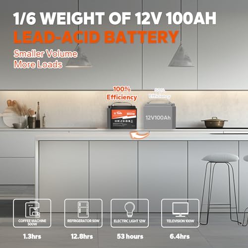 12V 100Ah LiFePO4 Battery Group 31 with Built-in 100A BMS N133