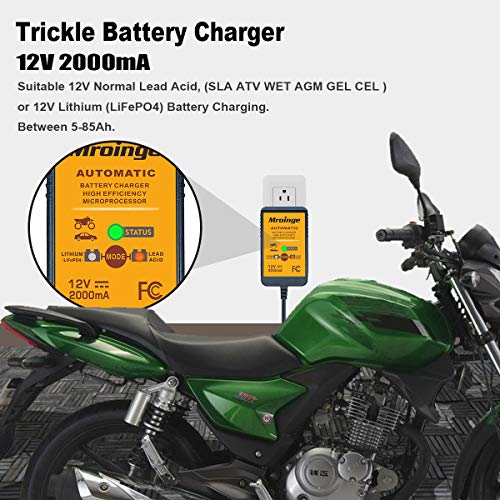 12V 2A Automatic Trickle Battery Charger Maintainer for Car Motorcycle Lawn Mower Boat ATV O980
