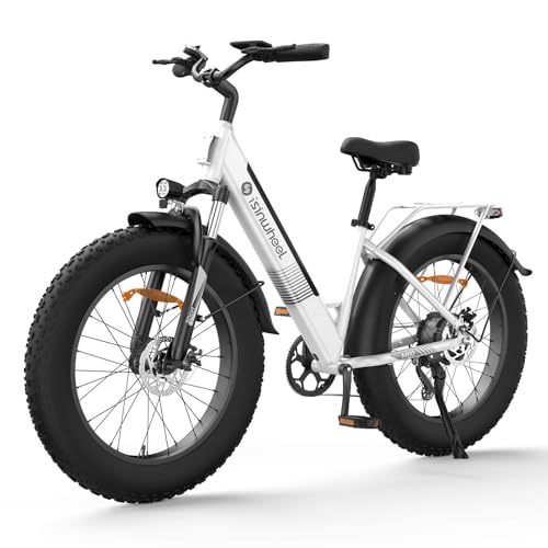 Electric Bike for Adults 750W 28mph with Removable Battery and Fat Tire N46855