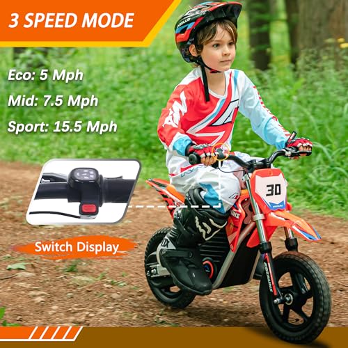 Electric Dirt Bike for Kids Aged 4-8, 350W Brushless Motor, 14'' Off-Road Tires, Blue J66927