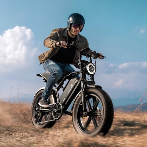 Electric Bike for Adults, 1500W Peak Brushless Motor, 28 MPH, 60 Miles, Fat Tire L32113