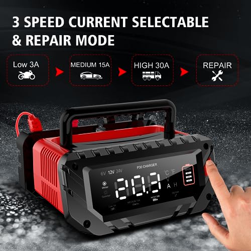 20 Amp Lithium Battery Charger, 12V and 24V Lifepo4, Lead-Acid Portable Car Battery Charger R763