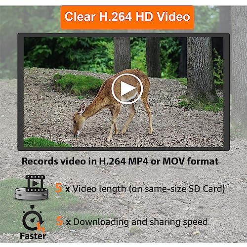 Trail Camera, 64MP 1296p, No Glow Night Vision, Motion Activated Waterproof B8160