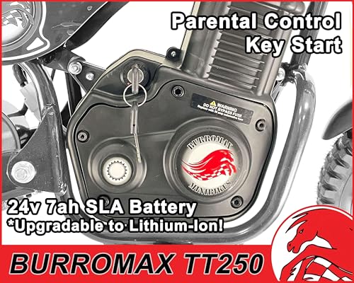 Electric Dirt Bike for Kids, 250W 24V, 14 Mph, Off-Road Mini Bike A80721