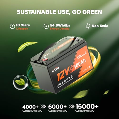 12V 100Ah LiFePO4 Battery Group 31 with Built-in 100A BMS N133