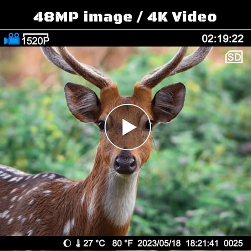 4K 48MP Trail Camera with Night Vision and Motion Activation V521736