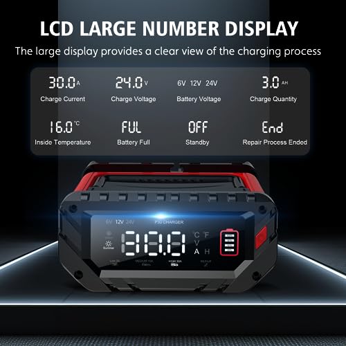 20 Amp Lithium Battery Charger, 12V and 24V Lifepo4, Lead-Acid Portable Car Battery Charger R763
