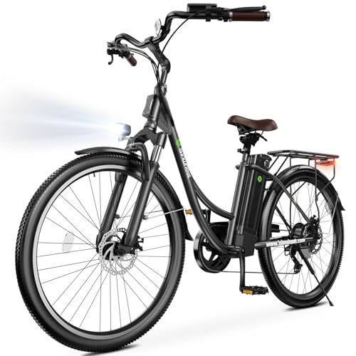 Electric Bike for Adults 750W 28mph with Removable Battery and Fat Tire N46855