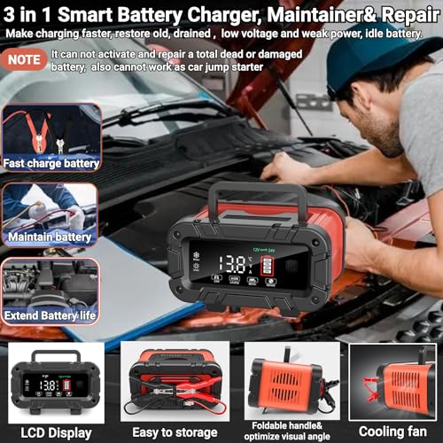 12V 24V 20A LiFePO4 Lead Acid Battery Charger & Maintainer S293020