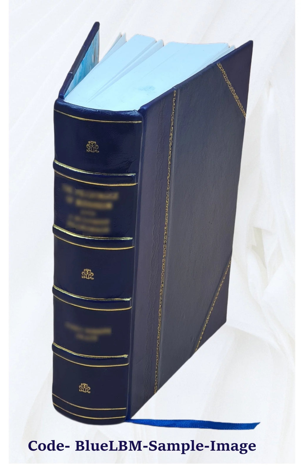 Diccionario Francés-Español y Español-Francés, edición 1870 U73531