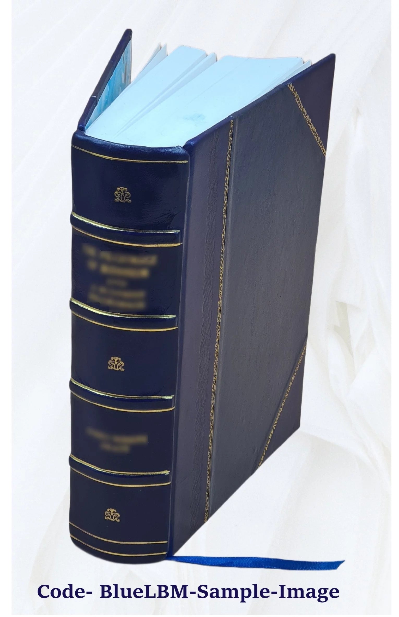 Diccionario Francés-Español y Español-Francés, edición 1870 U73531