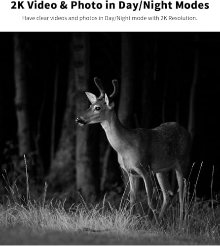 Cellular Trail Camera 4G LTE with Solar Panel, Motion Activated, 2K Night Vision E2472