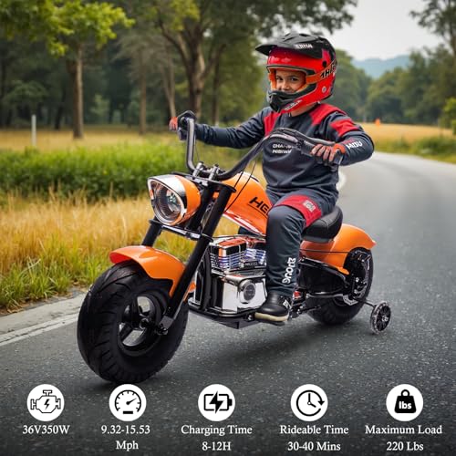Electric Dirt Bike for Kids 14+, 360W Motor, 15.5 MPH, Gray D8115
