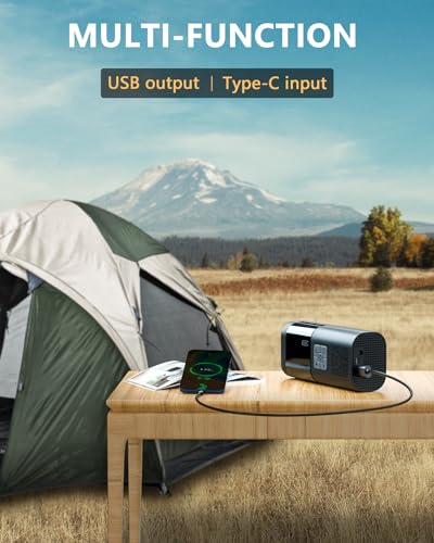 Portable Tire Inflator Air Compressor for Car with Gauge S492