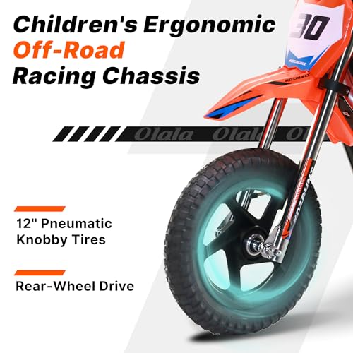 Electric Dirt Bike for Kids Aged 4-8, 350W Brushless Motor, 14'' Off-Road Tires, Blue J66927