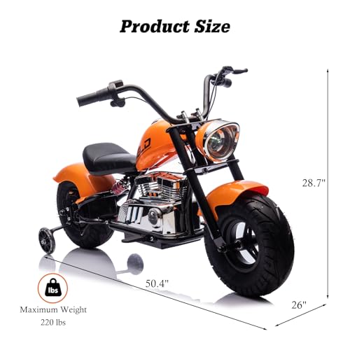 Electric Dirt Bike for Kids 14+, 360W Motor, 15.5 MPH, Gray D8115