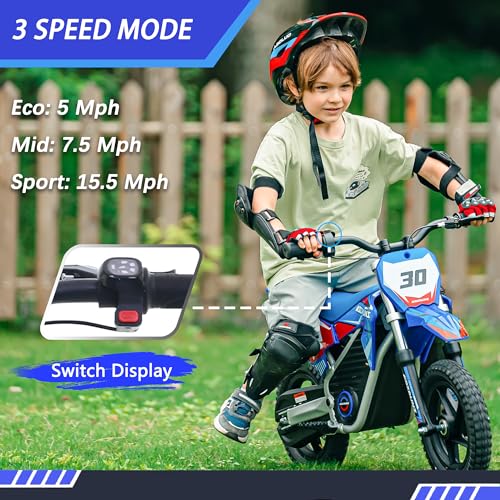 Electric Dirt Bike for Kids Aged 4-8, 350W Brushless Motor, 14'' Off-Road Tires, Blue J66927