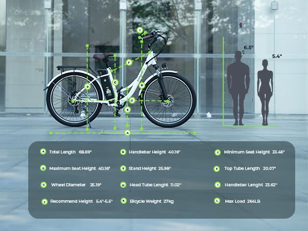 Electric Bike for Adults 750W 28mph with Removable Battery and Fat Tire N46855