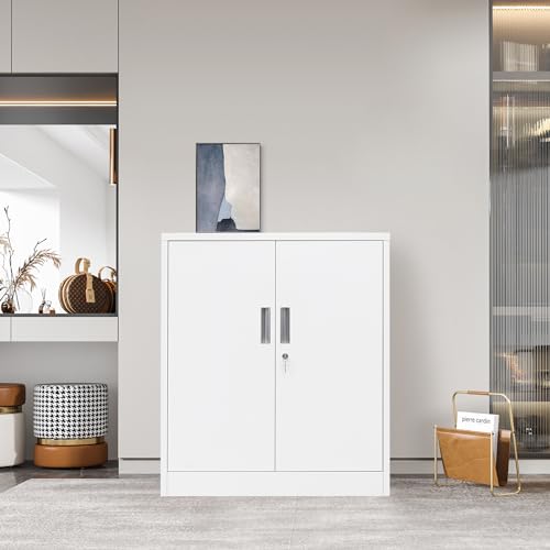 Locking Metal Storage Cabinet with Shelves and Doors L888