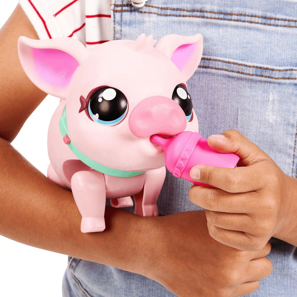 My Pet Pig Z99996