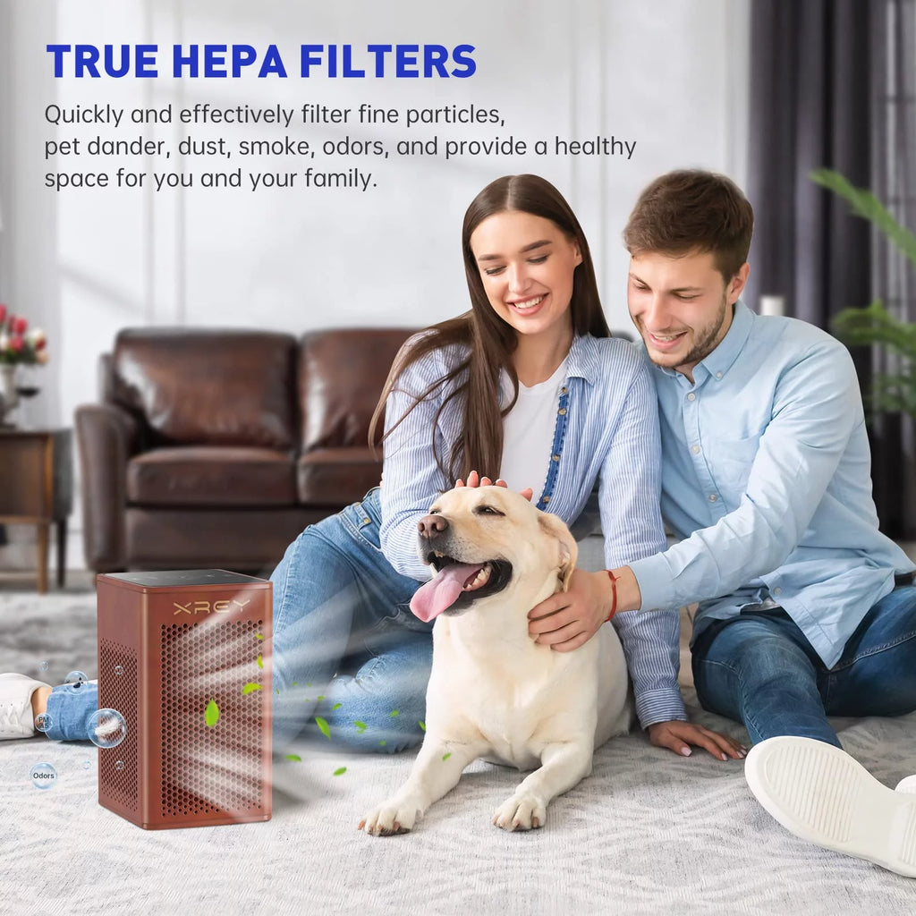 Air Purifier for Home Large Room, H13 True HEPA Filter, Ultra-Quiet W277