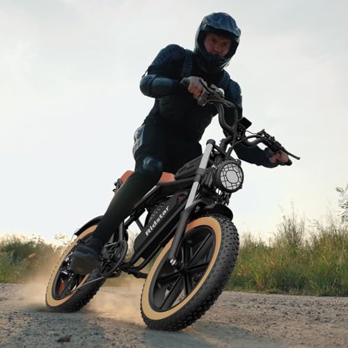 Electric Bike for Adults, 2000W, 52V 40AH, 20" Fat Tire, All Terrain G372
