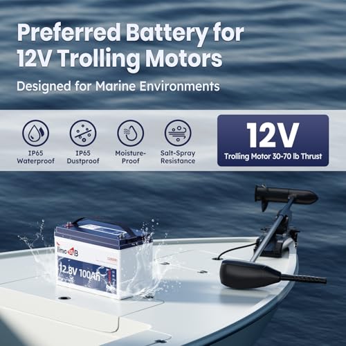 12V 100Ah LiFePO4 Marine Battery with Low-Temp Protection and 100A BMS X724