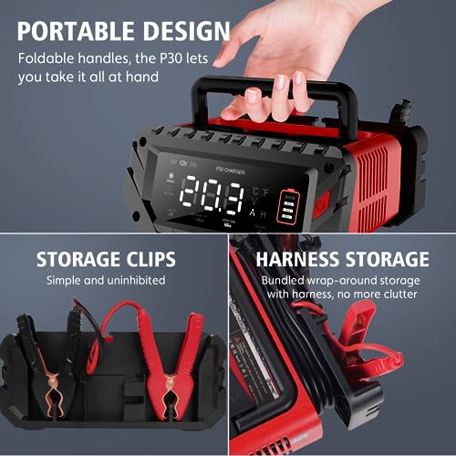 20 Amp Lithium Battery Charger, 12V and 24V Lifepo4, Lead-Acid Portable Car Battery Charger R763