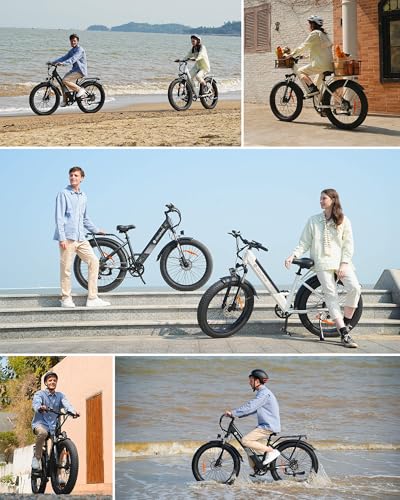 Electric Bike for Adults 750W 28mph with Removable Battery and Fat Tire N46855