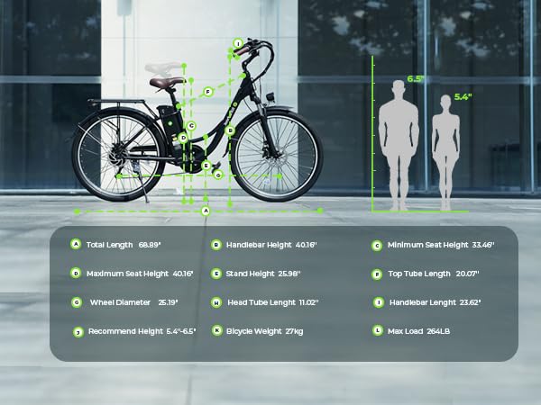 Electric Bike for Adults 750W 28mph with Removable Battery and Fat Tire N46855