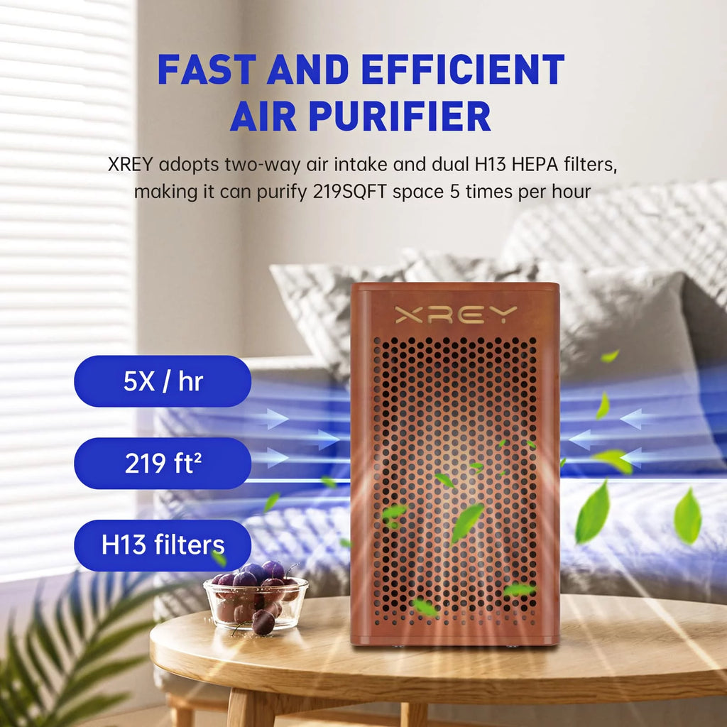 Air Purifier for Home Large Room, H13 True HEPA Filter, Ultra-Quiet W277