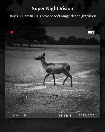 4K 36MP Trail Camera with Night Vision and 32GB Card D374377