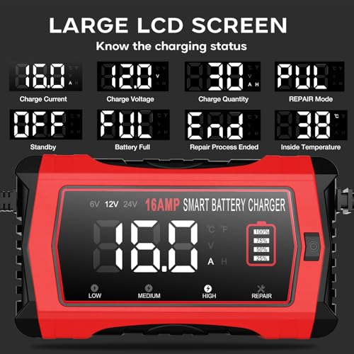 12V 24V 10-Stage Smart Battery Charger and Maintainer B154